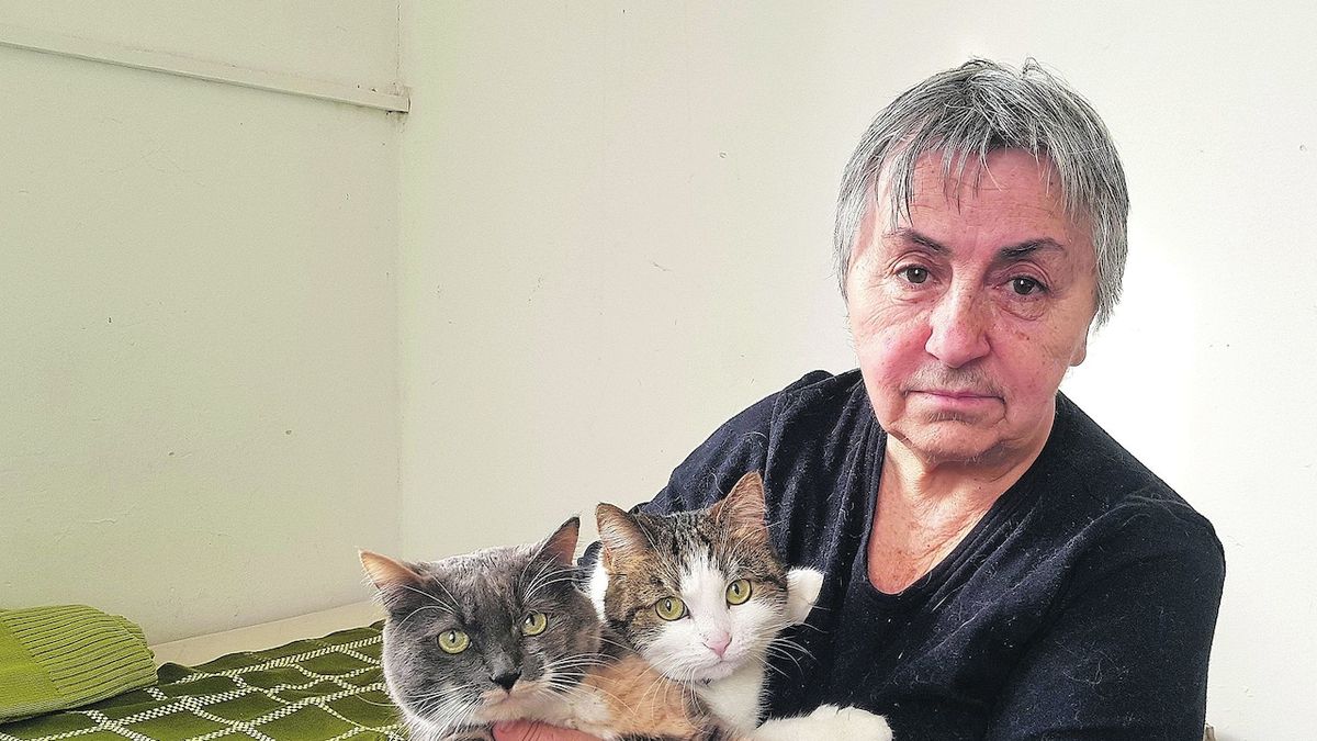 Seniorka Ljuba utekla z Ukrajiny jen se dvěma kočkami
